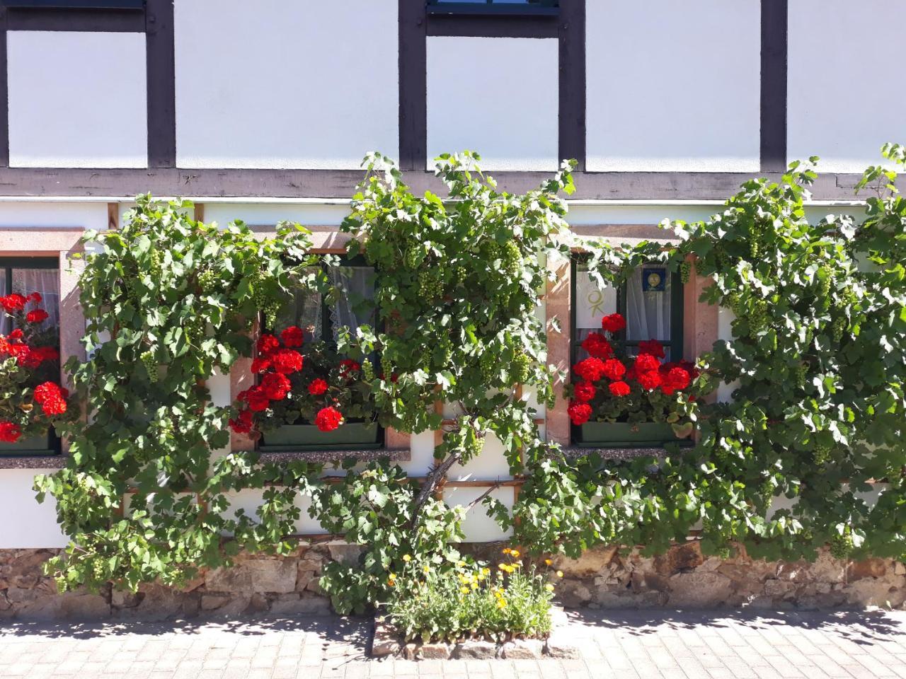 Balancehaus Kohren-sahlis, Dein Kurhaus In Sachsen Gæstehus